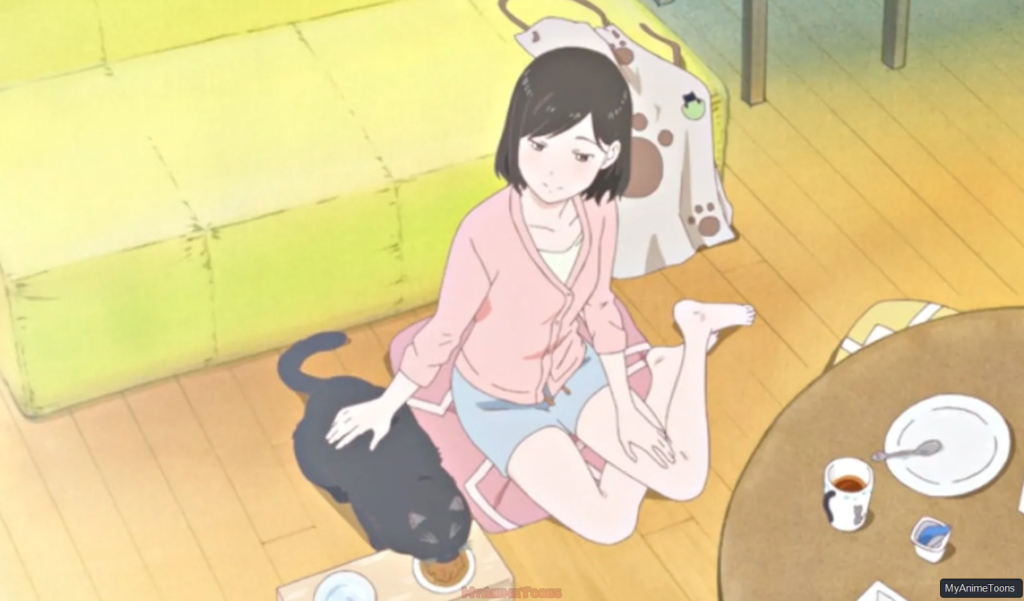 She and Her Cat Their Standing Points Anime Film